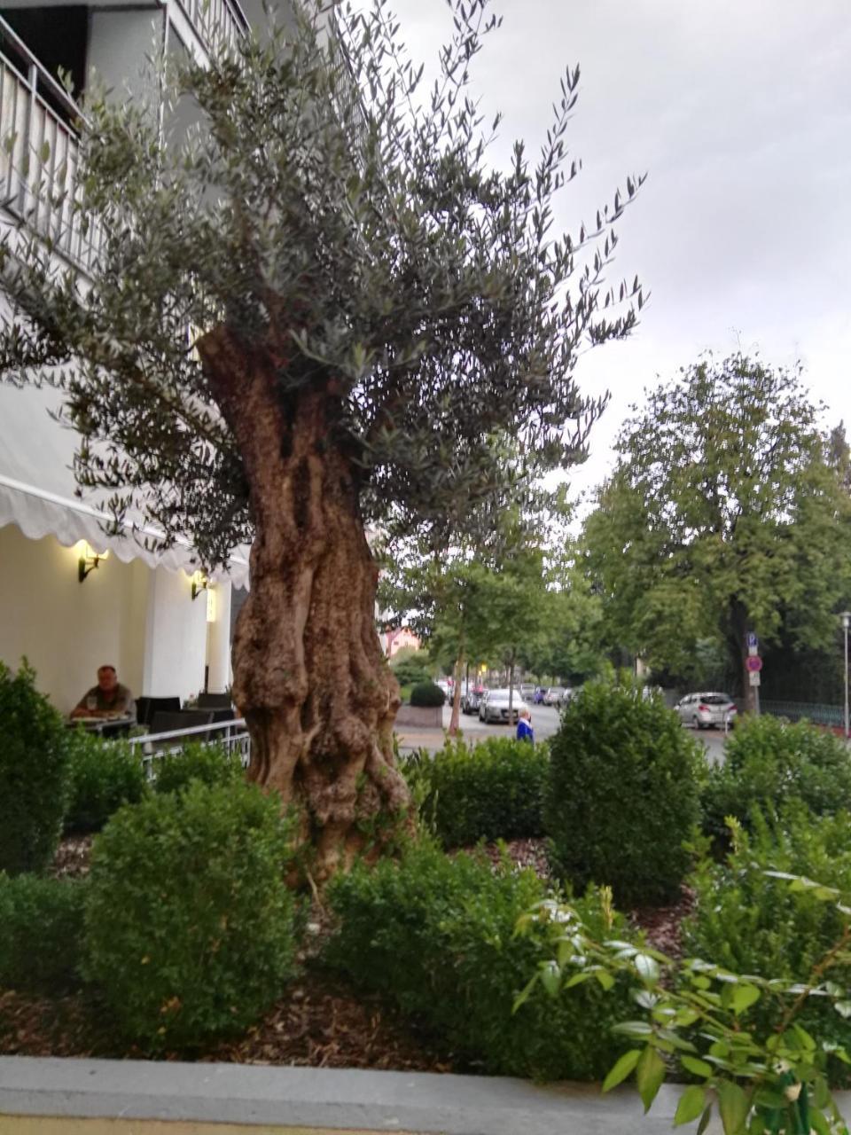 Hotel Carolinenhof Bad Pyrmont Bagian luar foto